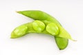 Three Raw Soy Beans in Pea Pod