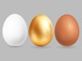 Three realistic eggs isolated on grey background