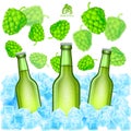 Three realistic green bottle of beer stand in ice cubes among flying depth of field hop cones on white