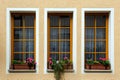 Three rectangular windows Royalty Free Stock Photo