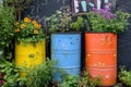 Three Recycled Barrels Planted with Flowers and Plants Against a Black Wall Royalty Free Stock Photo