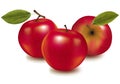 Three red apples. Royalty Free Stock Photo