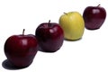 Three red apples and one green apple Royalty Free Stock Photo