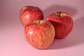 three red apples on a pink background 4 Royalty Free Stock Photo