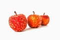 Three red apples on a white background Royalty Free Stock Photo