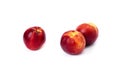 Three red bald peaches on white background. Peaches closeup red color