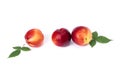 Three red bald peaches on white background. Peaches closeup red color