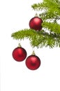 Three red balls in Christmas tree