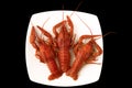 Three red boiled crayfish on a white square plate on wooden table. Royalty Free Stock Photo