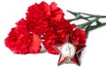 Three red carnations, the Order of the Red Star on a white background. Isolated items. Clouse-up Royalty Free Stock Photo