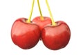 Three red cherries Royalty Free Stock Photo