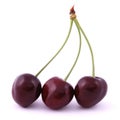 Three red cherries Royalty Free Stock Photo