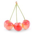 Three red cherries Royalty Free Stock Photo