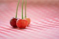 Three red cherries still life Royalty Free Stock Photo