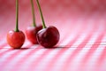Three red cherries on a table Royalty Free Stock Photo