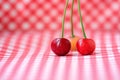 Three red cherries Royalty Free Stock Photo