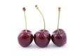 Three red cherries Royalty Free Stock Photo