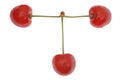 Three red cherries Royalty Free Stock Photo