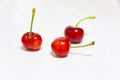 Three red cherries on white Royalty Free Stock Photo