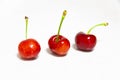 Three red cherries on white Royalty Free Stock Photo