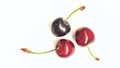 Three red cherry in white background