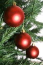 Three red christmas ornaments on tree Royalty Free Stock Photo