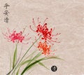 Three Red Chrysanthemum Flowers On Vintage Paper Background. Traditional Japanese Ink Wash Painting Sumi-e. Hieroglyphs