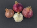Three red colored medium sized fresh onion and a white colored garlic stacked together Royalty Free Stock Photo