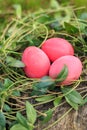 Three red colored traditional Easter eggs in the real grass nest