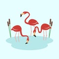 Three flamingo at the lake vector Royalty Free Stock Photo