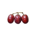 Three red grapes isolated on white background Royalty Free Stock Photo