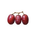 Three red grapes isolated on white background Royalty Free Stock Photo