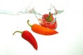 Three red hot chili pappers in water splash on white bckground