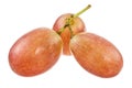 Three Red Isolated Grapes Royalty Free Stock Photo