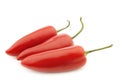 Three red jalapeno peppers `capsicum` Royalty Free Stock Photo