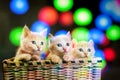Three red kittens Royalty Free Stock Photo