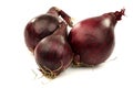 Three red onions Royalty Free Stock Photo