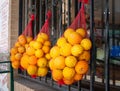 Three packaging nets with oranges hanging on a window steel bars for selling