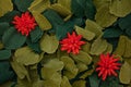 Three red paper flowers among green leaves, origami Royalty Free Stock Photo