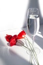 Three red poppies flowers on white table with contrast sun light and shadows and wine glass with water close Royalty Free Stock Photo