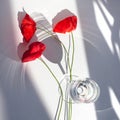 Three red poppy flowers on white table with contrast sun light and shadows and wine glass with water closeup top view Royalty Free Stock Photo