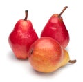 Three red ripe pears on white background. Royalty Free Stock Photo