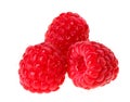 Three red ripe raspberry fruit Royalty Free Stock Photo