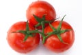Three red ripe tomatoes Royalty Free Stock Photo