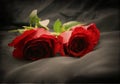 Three Red Roses on a bed of black fabric. Royalty Free Stock Photo