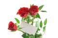 Three red roses with blank love note Royalty Free Stock Photo