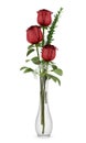 Three red roses in glass vase on white