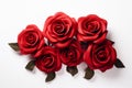 Three red roses isolated on white background. Close-up image Royalty Free Stock Photo