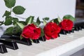 Three red roses on keyboard of the digital piano Royalty Free Stock Photo