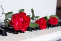 Three red roses on keyboard of the digital piano Royalty Free Stock Photo